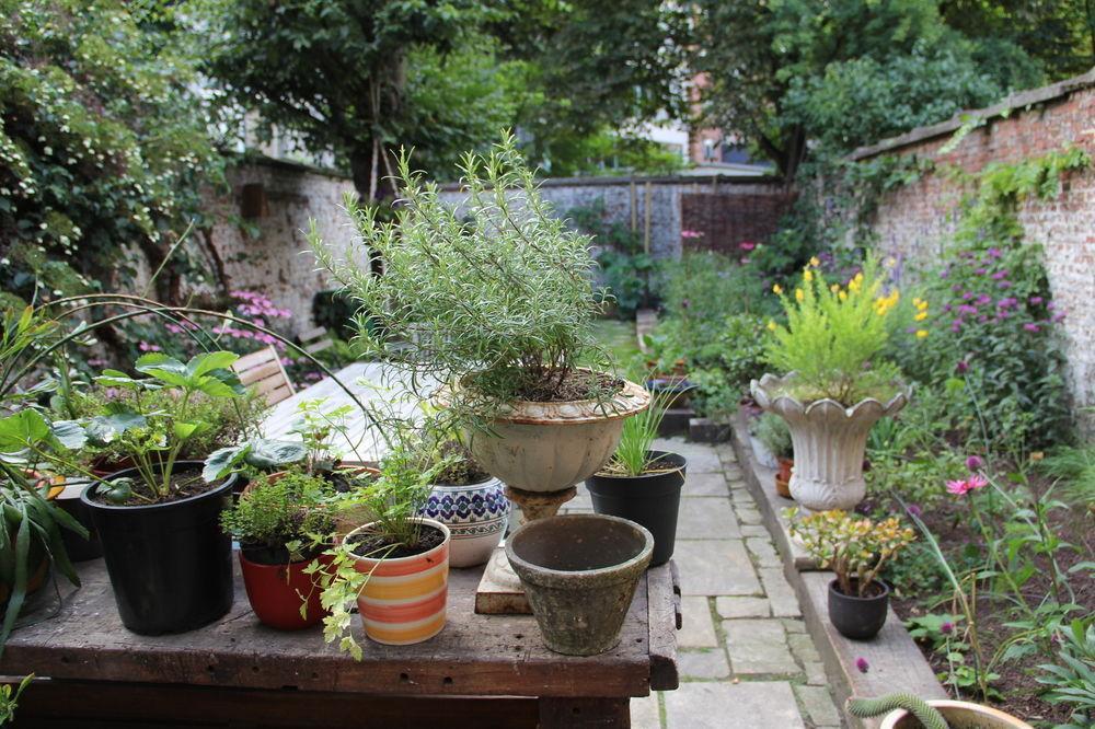 B&B Quatre20Cinq Antwerp Luaran gambar